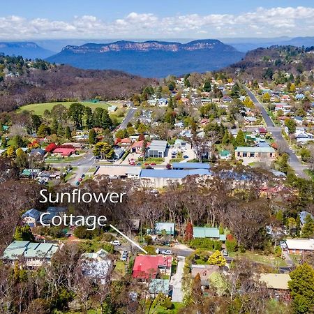 Sunflower Cottage 카툼바 외부 사진